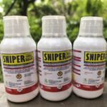 Free Shipping Sniper DDVP 100 ml Cockroach Killer - Image 3