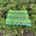 Free Shipping GREEN LEAF Cockroach Killer Insecticide, Effective Solution for Roach Infestation - Image 5